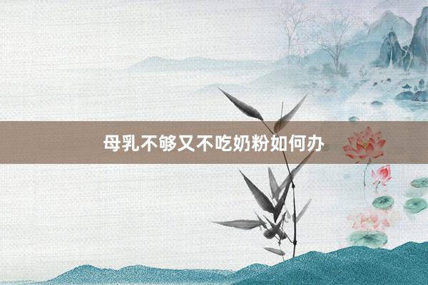 母乳不够又不吃奶粉如何办