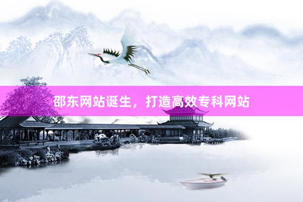 邵东网站诞生，打造高效专科网站