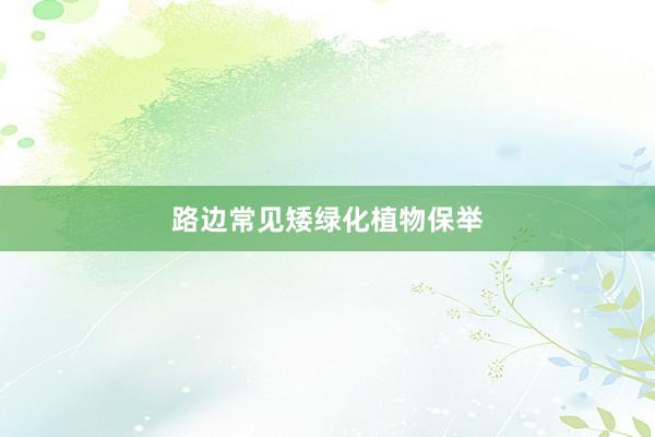 路边常见矮绿化植物保举